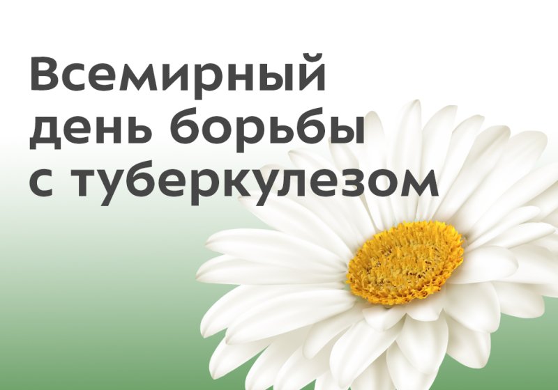  Акция "Белый цветок"