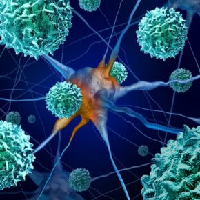 Энтеровирусные инфекции. Меры профилактики.